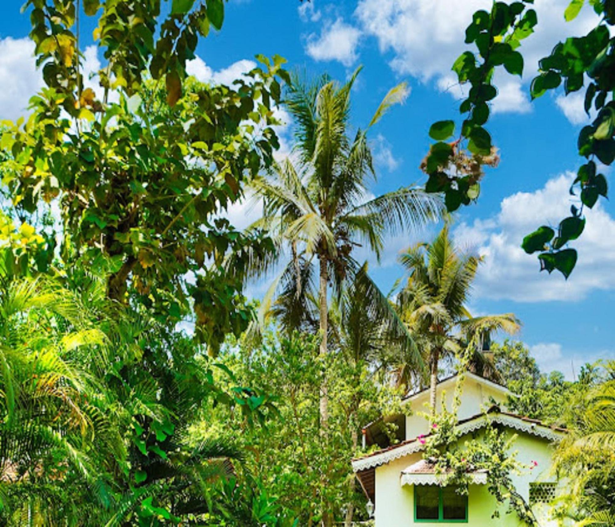 Lar Amorosa Boutique Hotel - Goa Calangute Exterior foto